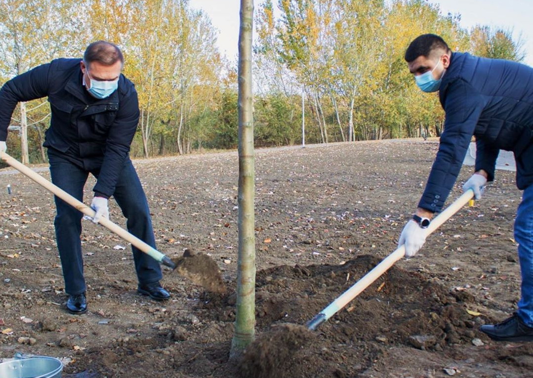 Изображение карусели